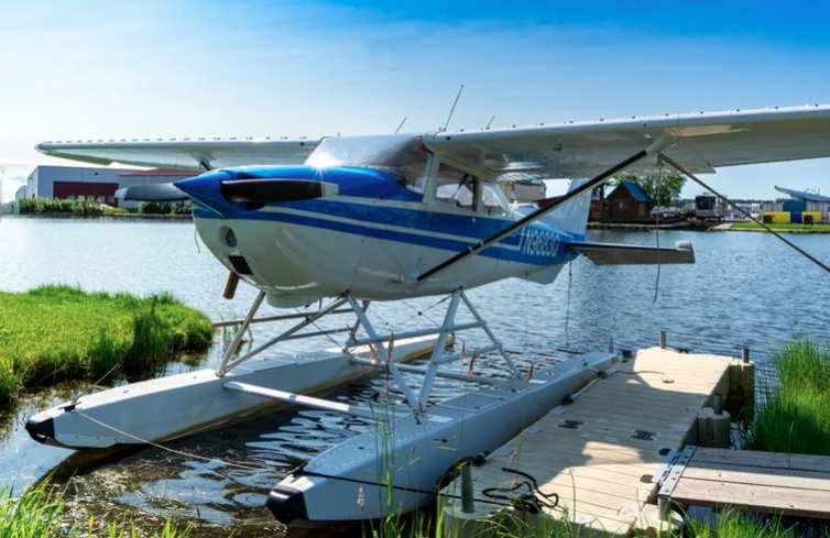 Float Plane Rental - Cessna 172M - Flight Browsing Online