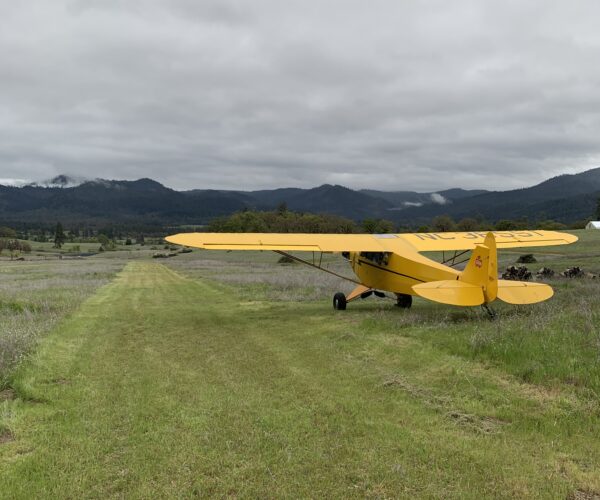 Tailwheel Specialist Ferry Pilot, CFI, A&P Mechanic