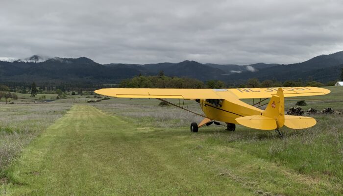 Tailwheel Specialist Ferry Pilot, CFI, A&P Mechanic