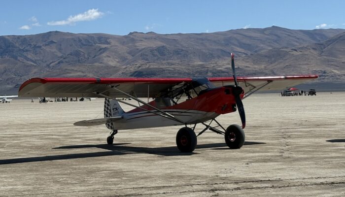 Tailwheel Specialist Ferry Pilot, CFI, A&P Mechanic